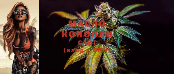 прущие крисы Ельня