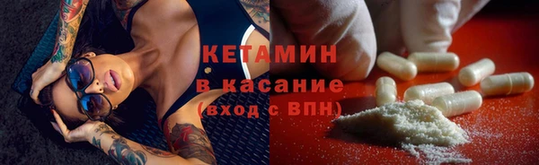 прущие крисы Ельня