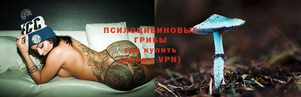 молекула духа Елабуга