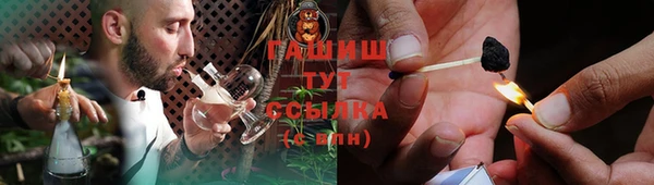 прущие крисы Ельня