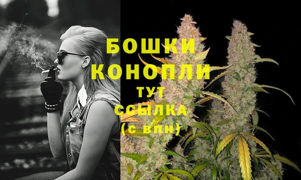 прущие крисы Ельня