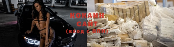 молекула духа Елабуга