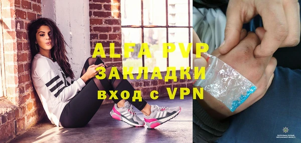 прущие крисы Ельня