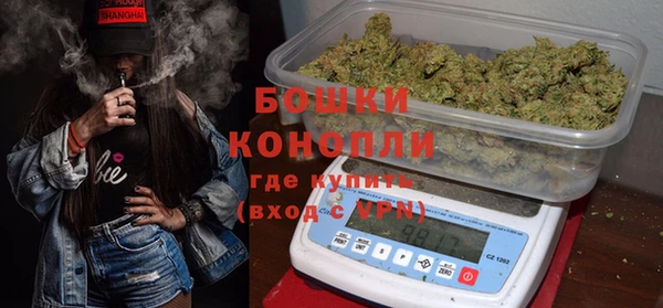 молекула духа Елабуга