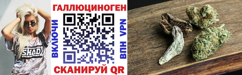 Купить  Весьегонск  Псилоцибиновые грибы MAGIC MUSHROOMS 